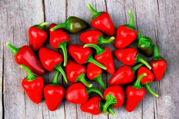 voksende pepperbrann