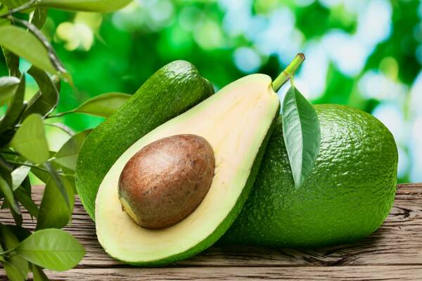 properties of avocado