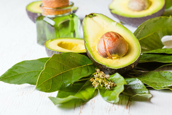 beneficial properties of avocado