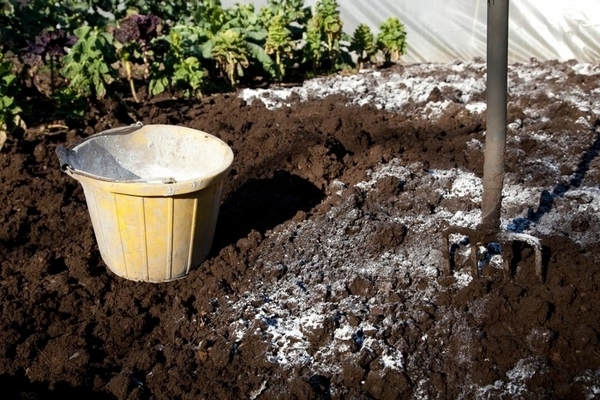 potager à la farine de dolomie