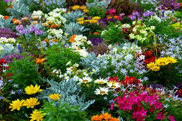 design of flower beds and flower beds