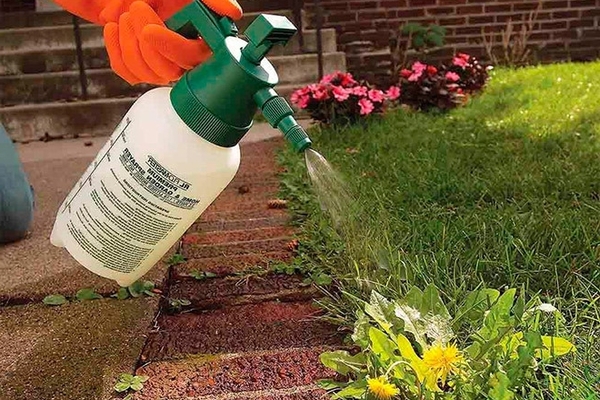 herbicide treatment