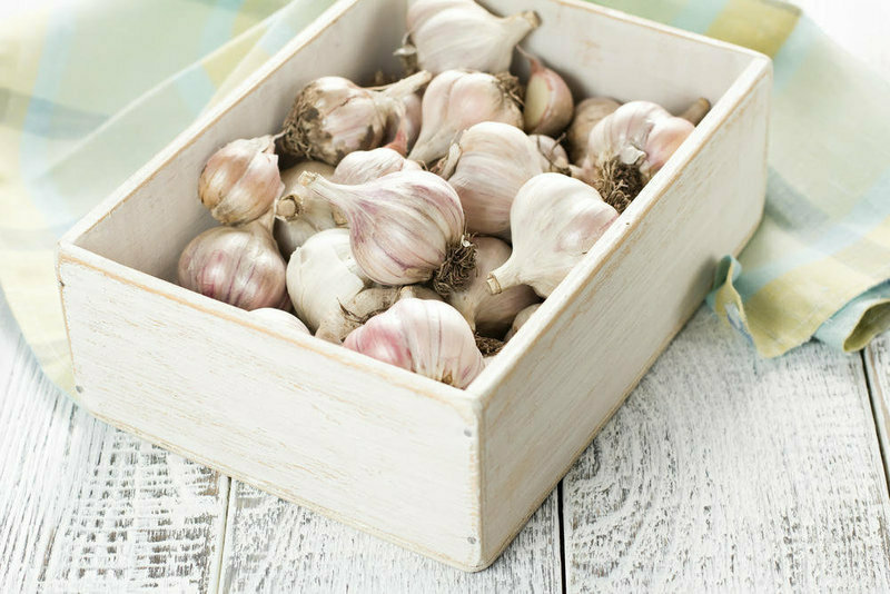 how to store garlic in an apartment