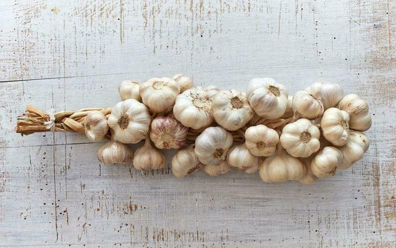how to store garlic for the winter
