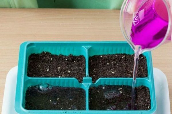 how to disinfect the soil before planting