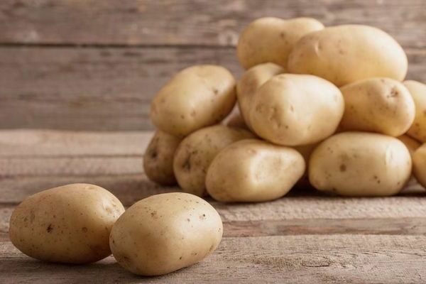 späte Kartoffelsorten
