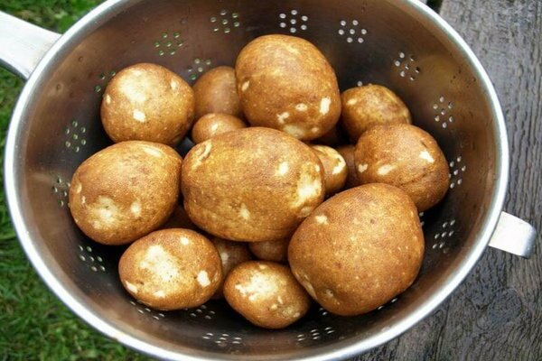 Kiwi -poteter: beskrivelse, hovedtrekk ved sorten
