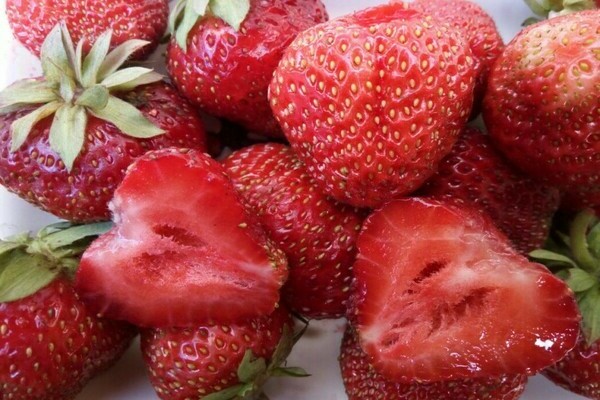 Strawberry Victoria: sortbeskrivelse, opprinnelse