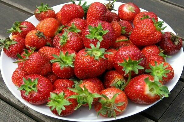 Strawberry: Victoria variety