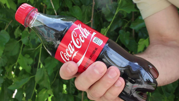 Coca Cola Blattläuse