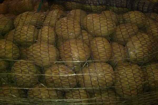 Colombo patatas: pagkakaiba-iba ng paglalarawan, katangian