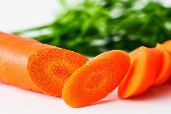 préparation du sol de carottes