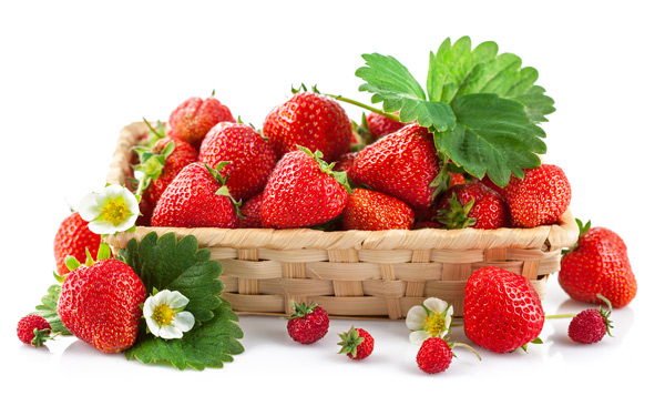 description of the strawberry variety