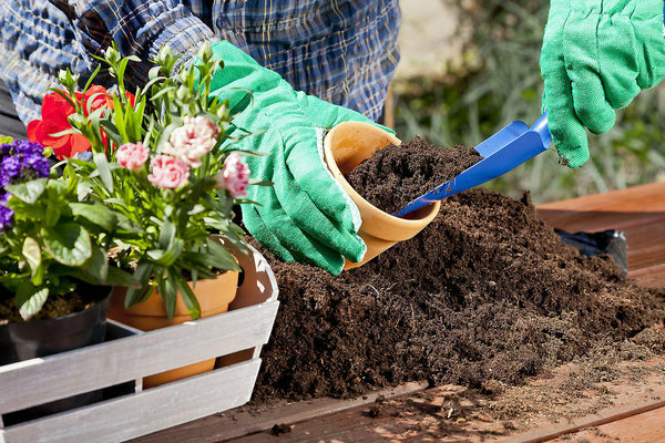 innendørs plantetransplantasjon