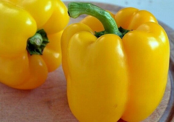Gul pepper av sorten Asti gul