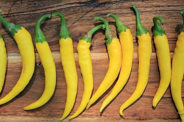 Yellow pepper varieties Hungarian yellow