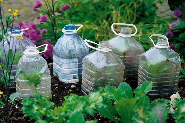 за градината със собствените си ръце от пластмасови бутилки