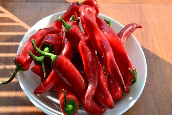 Hot peppers that can be grown in open soil