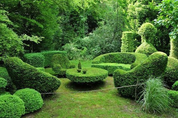 topiary art