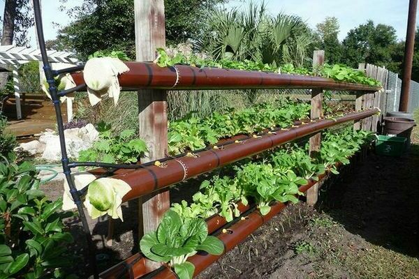 Lits de fraises verticaux de bricolage à partir de tuyaux de plomberie