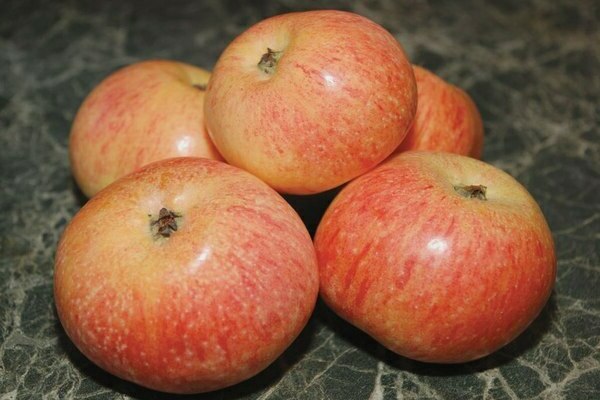 Бонбони от ябълково дърво: описание на сорта