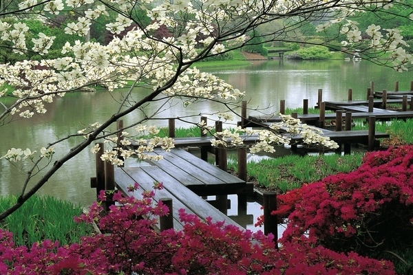 khu vườn Nhật Bản