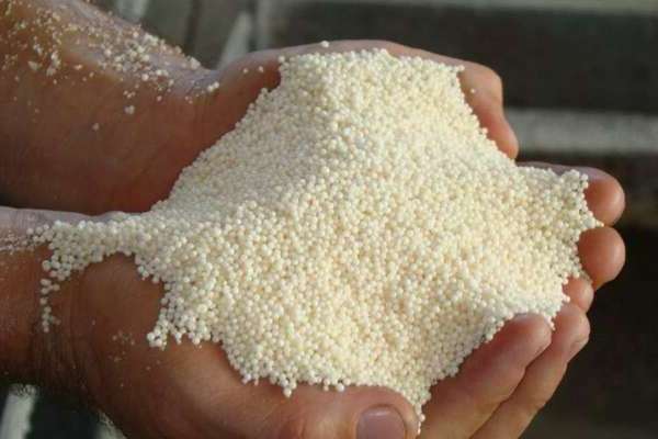 Ammonium nitrate (fertilizer): why is it so popular with gardeners