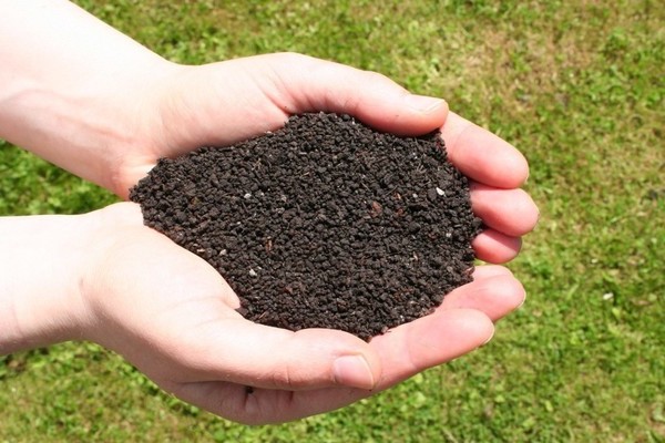 Vermicompost: basic information about the product