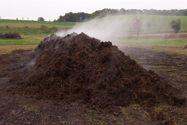 Cow dung: methods and specifics of change