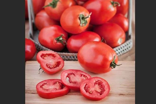 Naujokas pomidoras: veislės privalumų ir trūkumų aprašymas