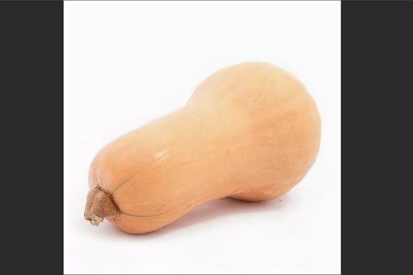 Pumpkin Pear-shaped: photo, main characteristics