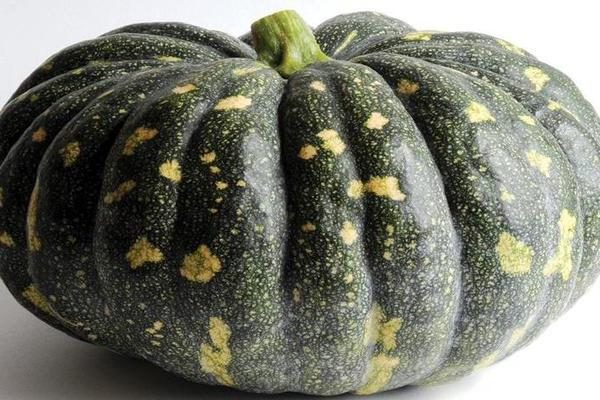 Pumpkin Marble: full characteristic of the variety