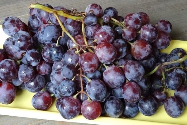 Cardinal grapes: variety description, advantages and disadvantages