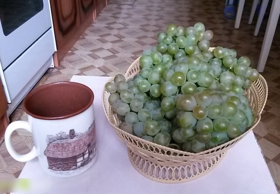 Crystal grape variety: berry information