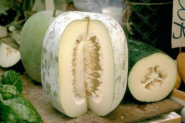 Wax gourd: nutritional value of the product