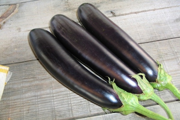 Eggplant Valentine