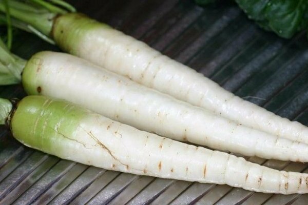 White carrots: what determines the color of the fruit