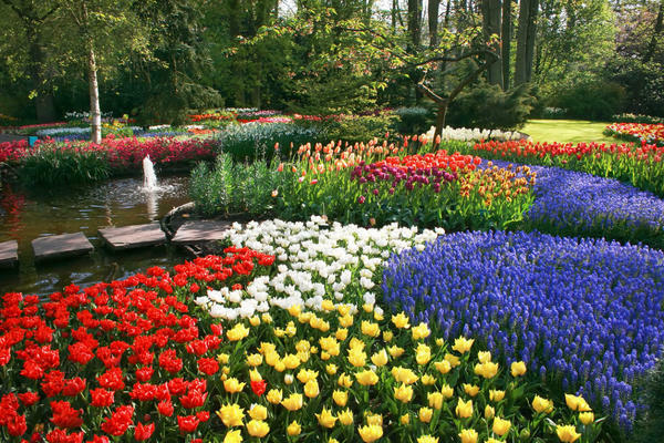 landscape design flower beds
