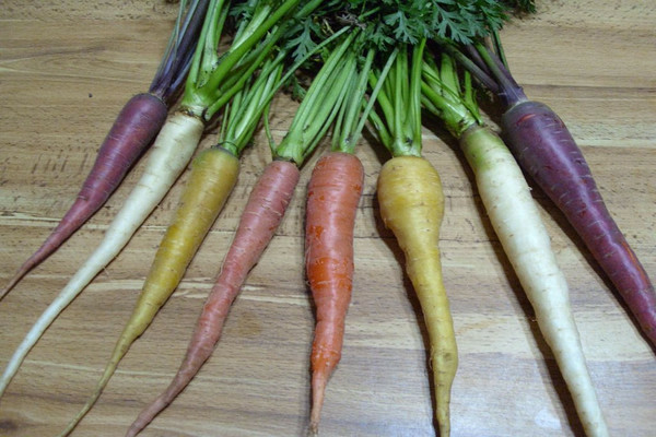 các loại cà rốt tím có ảnh và mô tả