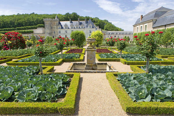 french garden photo