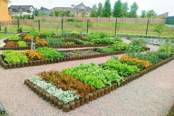 схема на френска зеленчукова градина