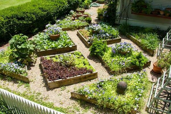 schéma francúzskej záhrady, urob si sám