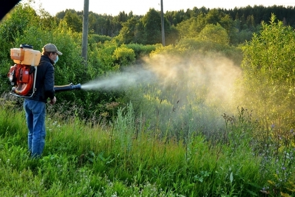 Herbicide Ground against weeds: treatment