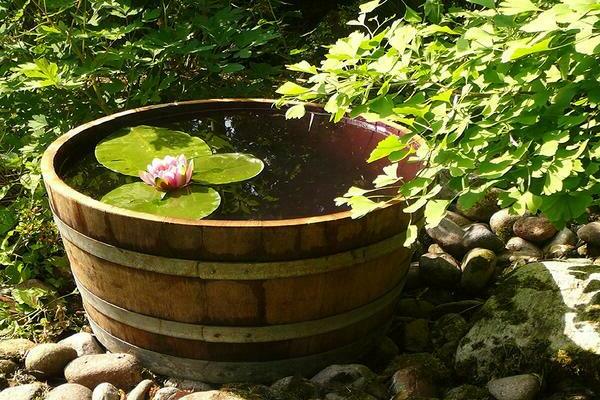 gumawa ng isang pond sa bansa gamit ang iyong sariling mga kamay hakbang-hakbang