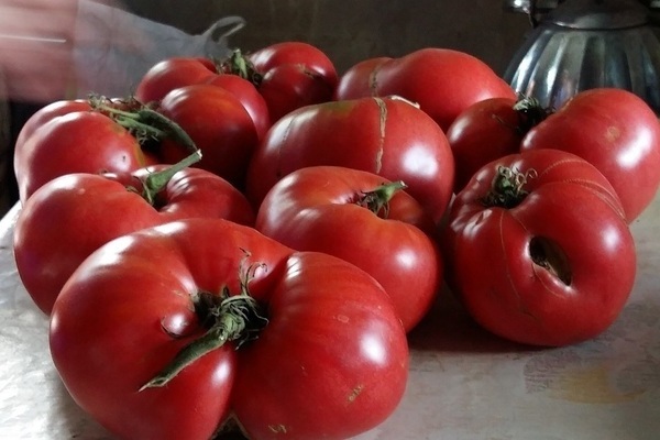 Tomato Minusinsky: about the leading varieties
