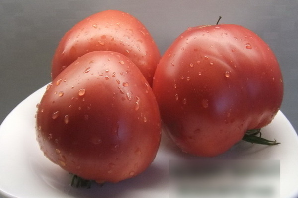 Popis paradajok: odrody Minusinsk, ich vlastnosti