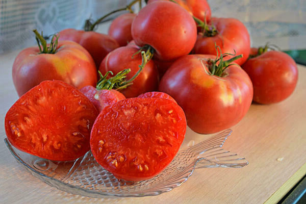 Varieti tomato yang rendah