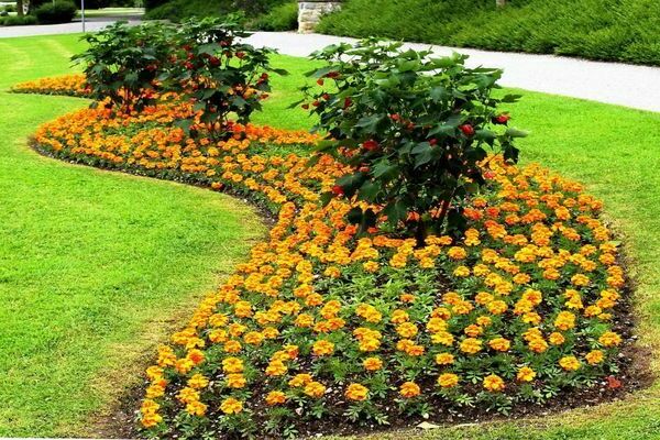 types of landscape flower beds