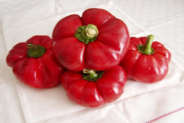 Pepper Gogoshary -bilde, beskrivelse av underarter
