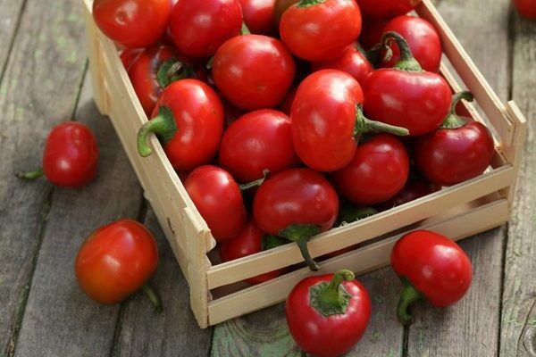 Odroda papriky Gogoshara: výhody a nevýhody